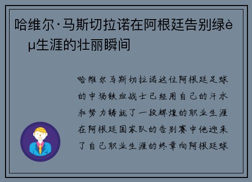 哈维尔·马斯切拉诺在阿根廷告别绿茵生涯的壮丽瞬间 哈维尔·马斯切拉诺在阿根廷告别绿茵生涯的壮丽瞬间