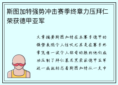 斯图加特强势冲击赛季终章力压拜仁荣获德甲亚军